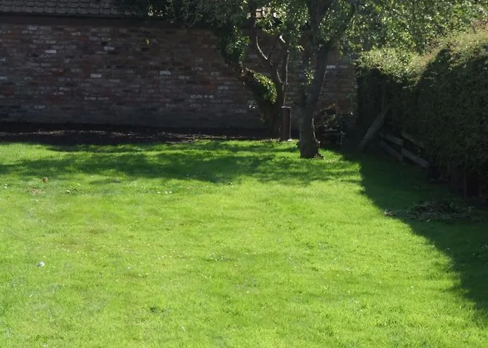 Firtrees